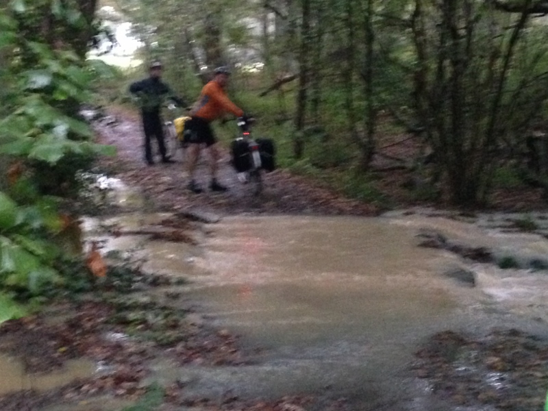 Flooded Stream
