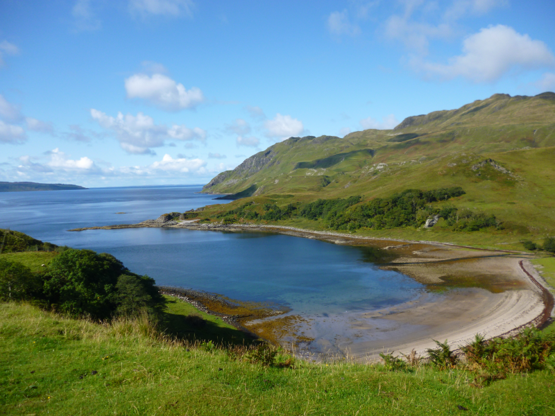 Ardslignish